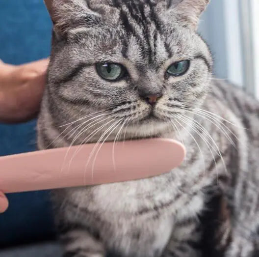 Pet Grooming Brush - Cat Tongue and Needle Comb